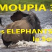 027 Titre Photos Moupia 3 Elephants le Soir.jpg