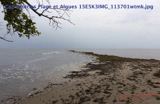 060 Cap Esterias Plage et Algues 15E5K3IMG_113701wtmk.jpg