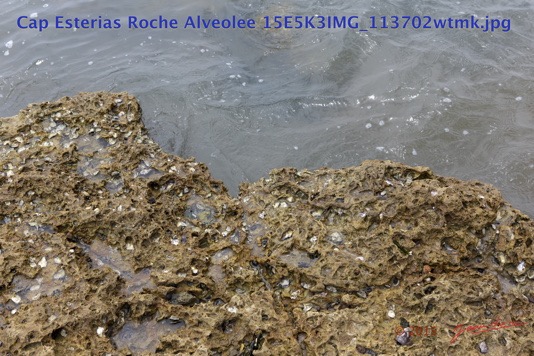 092 Cap Esterias Roche Alveolee 15E5K3IMG_113702wtmk.jpg