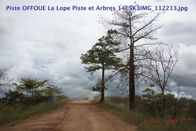 046 Piste OFFOUE La Lope Piste et Arbres 14E5K3IMG_112213wtmk.JPG