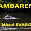 027 Titre Photos Lambarene Hotel Evaro 2.jpg