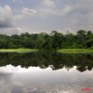 077 LAMBARENE Lac Azingo Vegetation dans le Chenal 8E5IMG_27685wtmk.jpg