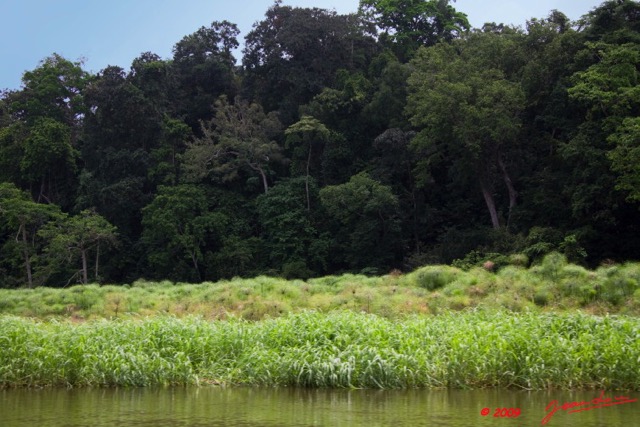 079 LAMBARENE Lac Azingo Vegetation dans le Chenal 8E5IMG_27725wtmk.jpg