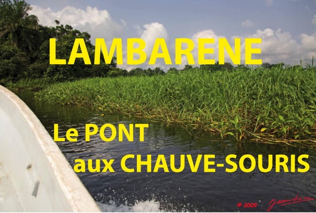 036 Titre Photos Lambarene Pont Chauve-Souris.JPG