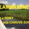 036 Titre Photos Lambarene Pont Chauve-Souris.JPG