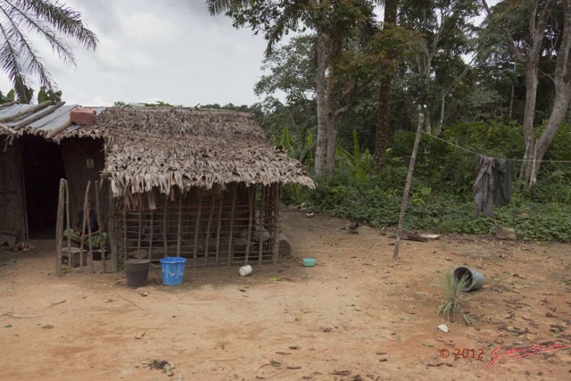 032 MOUYANAMA Village Pygmee dans le Chaillu 12E5K2IMG_74234wtmk.jpg