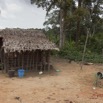 032 MOUYANAMA Village Pygmee dans le Chaillu 12E5K2IMG_74234wtmk.jpg