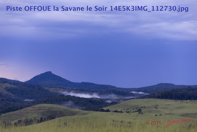 139 Piste OFFOUE la Savane le Soir 14E5K3IMG_112730wtmk.JPG