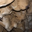 027 MIKAKA la Grotte Parois et Chauves-Souris 13E5K3IMG_94765wtmk.jpg