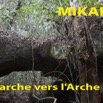 041 Titre Photos Mikaka Marche Arche-01.jpg