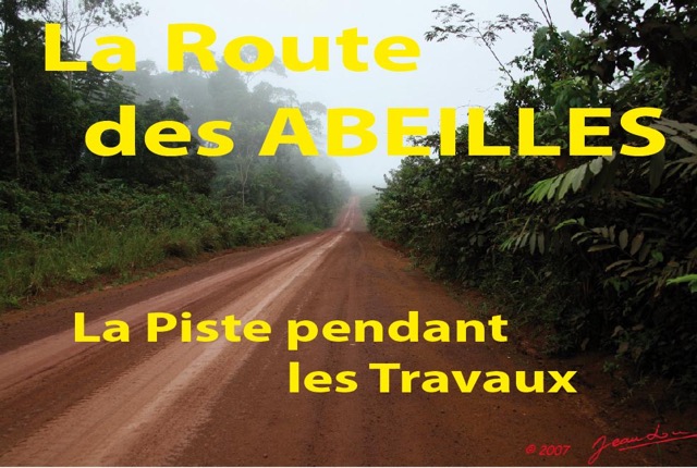 050 Titre Photos Route Abeilles Travaux-01.jpg