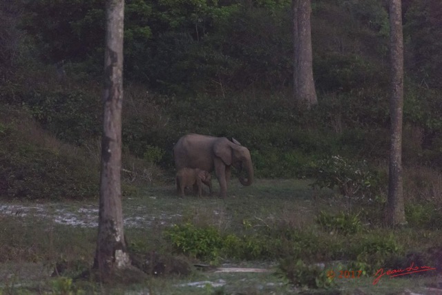 097 LOANGO 3 Campement Loango Sud Petite Lagune Elephants le Soir 16E5K3IMG_122700wtmk.jpg