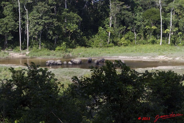 004 MOUPIA 6 Elephants au Bai 1 11E5K2IMG_69286wtmk.jpg