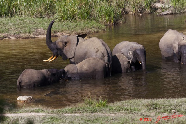 005 MOUPIA 6 Elephants au Bai 1 11E5K2IMG_69289wtmk.jpg