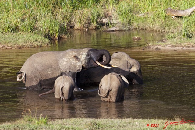 021 MOUPIA 6 Elephants au Bai 1 11E5K2IMG_69318wtmk.jpg