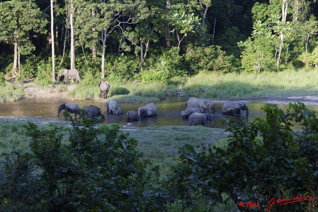 030 MOUPIA 6 Elephants le Soir au Bai 1 11E5K2IMG_69354wtmk.jpg