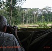 039 Moupia 7 Photo Elephants depuis Observatoire par JLA EP14IMG_EP0888bwtmk.jpg