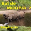 047 Titre Photos Moupia 7 Elephants-01.jpg