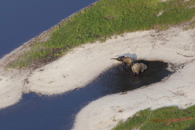 070 Haut-Ogooue Vu du Ciel 3 Moupia Bai Mpughu Bandjogo avec Elephants 12E5K2IMG_73266awtmk.jpg