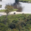 112 Haut-Ogooue Vu du Ciel 4 Bai Mpughu Bandjogo Elephant 12E5K2IMG_73799wtmk.jpg
