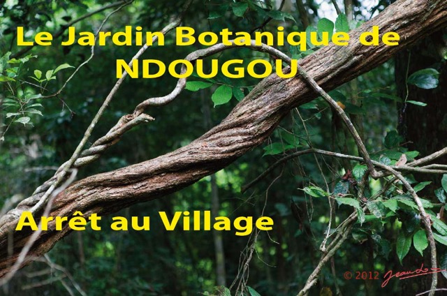 066 Titre Photos Ndougou Arret Village-01.jpg
