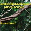 069 Titre Photos Ndougou Arboretum-01.jpg