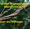093 Titre Photos Ndougou Retour au Village-01.jpg