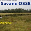 005 Titre Photo Savane Ossere Marche-01.jpg