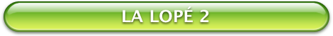 Bouton Vert LaLope 2 470x52