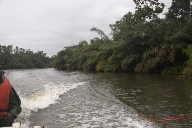 092 LOANGO 2 Akaka Riviere Rembo Ngove Nord Navigation en Pirogue 15E5K3IMG_106746wtmk.jpg