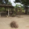 034 LOANGO 2 Iguela-Rabi Village 15E5K3IMG_108021wtmk.jpg
