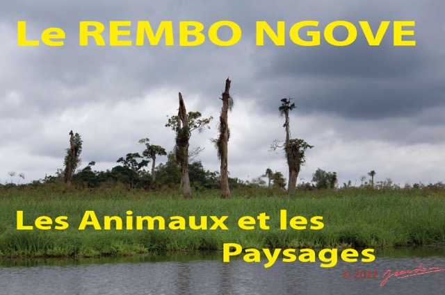 035 Titre Photos Rembo Ngove Animaux-01.jpg