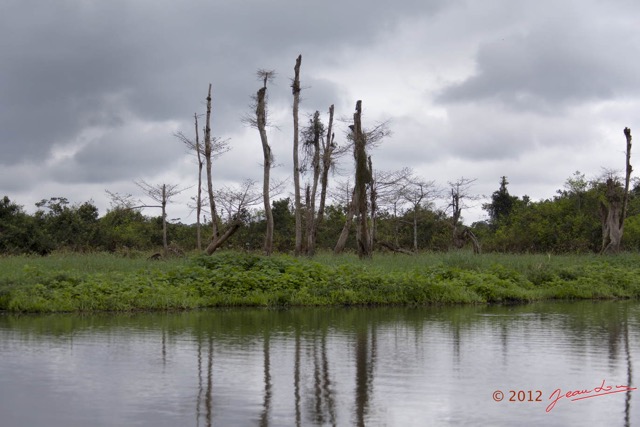 036 LOANGO Riviere Rembo Ngove Berge avec Arbres Morts 12E5K2IMG_78551wtmk.jpg