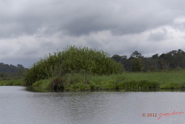 038 LOANGO Riviere Rembo Ngove Berge avec Vegetation 12E5K2IMG_78554wtmk.jpg