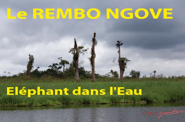 050 Titre Photos Rembo Ngove Elephant-02.jpg