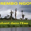 050 Titre Photos Rembo Ngove Elephant-02.jpg