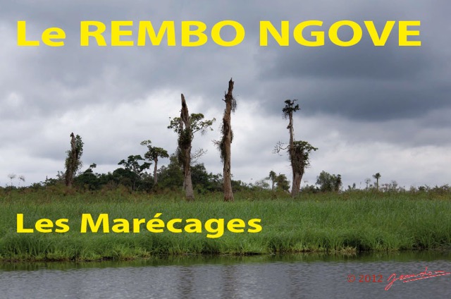 061 Titre Photos Rembo Ngove Marecages-01.jpg