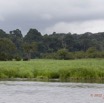 091 LOANGO Riviere Rembo Ngove Elephant Loxodonta africana cyclotis 12E5K2IMG_78715wtmk.jpg