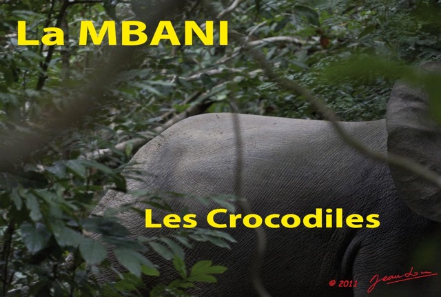 055 Titre Photos Mbani Crocodiles-01.jpg