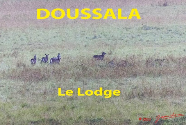 025 Titre Photos Doussala le Lodge-01.jpg