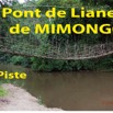 002 Titre Photos Pont Liane Mimongo Piste-01.jpg