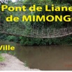 005 Titre Photos Pont Liane Mimongo Ville-01.jpg