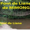 011 Titre Photos Pont Liane Mimongo le Pont-01.jpg