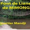 023 Titre Photos Pont Liane Mimongo Quartier Mandji-01.jpg