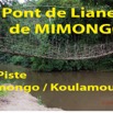 035 Titre Photos Pont Liane Mimongo Piste Koulamoutou-01.jpg