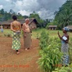 060 Village Traditionnel Mboka a Nzambe 02 le Jardin Adepte avec Iboga et Jean-Lou IMG_Ingrid_20210522_141207_DxOwtmk 150k.jpg