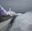 084 Baleines de Libreville Retour au Debarcadere 13WG3IMG_8P0027awtmk.jpg