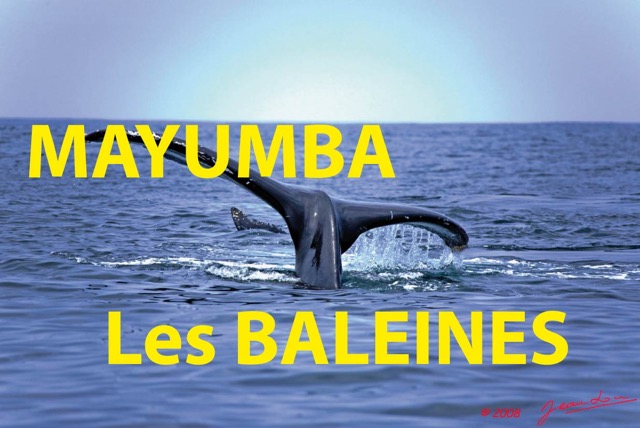 032 Titre Photos Mayumba Baleines.jpg