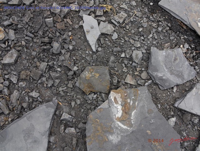 059 MOULENDE Gres et Fossile14G1XIMG_102049wtmk.jpg