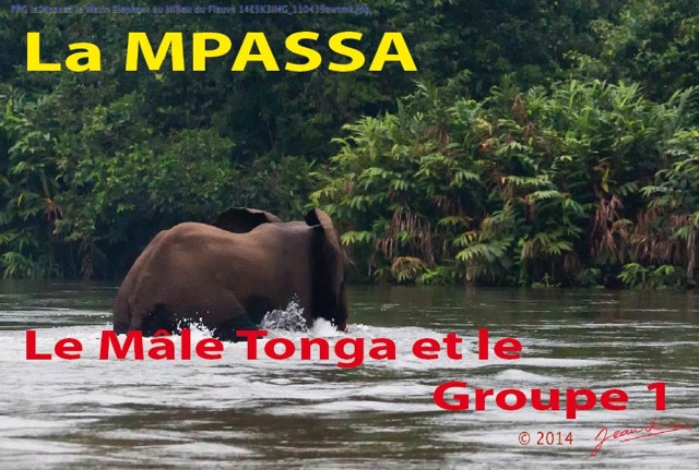 093 Titre Photo Mpassa Tonga et Groupe 1-01.jpg